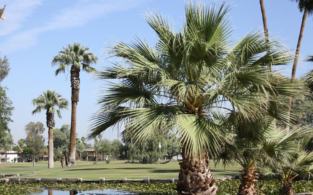 Barbara Worth Golf Resort Holtville Exteriör bild